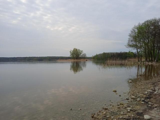 Domek Wypoczynkowy Nad Jez. Dadaj Biskupiec (Olsztyn) Exterior foto